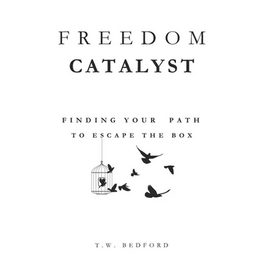 Freedom Catalyst: Finding Your Path to Escape the Box