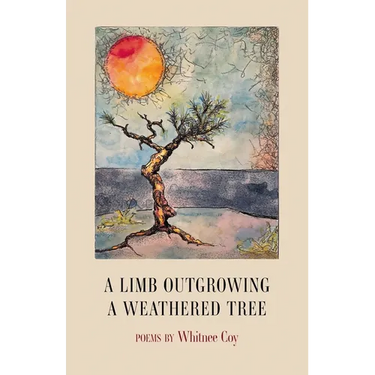 A Limb Outgrowing a Weathered Tree