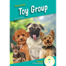 Toy Group