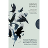 Nocturnal Apparitions