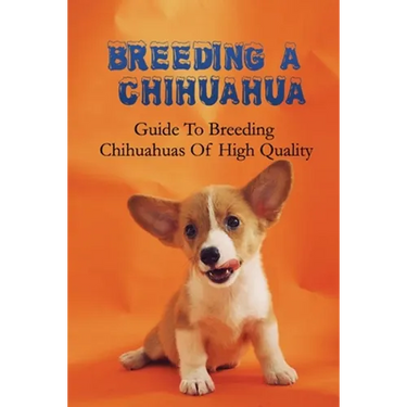 Breeding A Chihuahua: Guide To Breeding Chihuahuas Of High Quality: Chihuahua Dog Breed Information