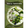 Hoya Australis: Plant overview and guide
