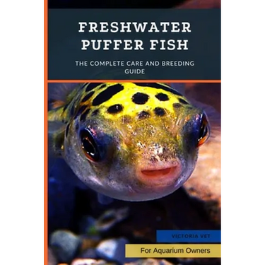 Freshwater Puffer Fish: The Complete Care And Breeding Guide