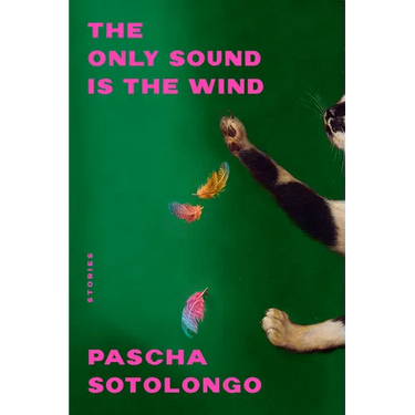 The Only Sound Is the Wind: Stories