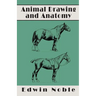 Animal Drawing and Anatomy