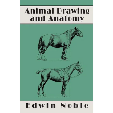 Animal Drawing and Anatomy