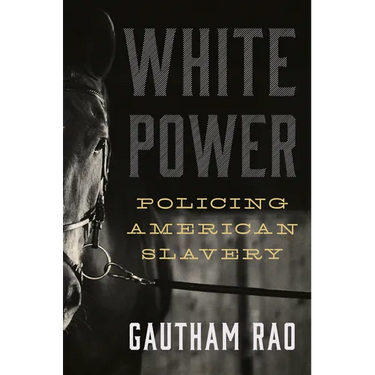 White Power: Policing American Slavery
