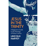 Jesus in the Trinity: A Beginner's Guide to the Theology of Robert Jenson