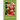 How To Grow Tomatoes: Your Garden Secrets