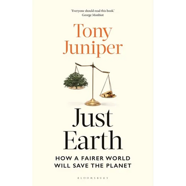 Just Earth: How a Fairer World Will Save the Planet