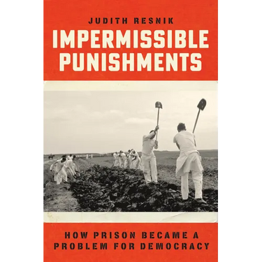Impermissible Punishments: How Prison Became a Problem for Democracy