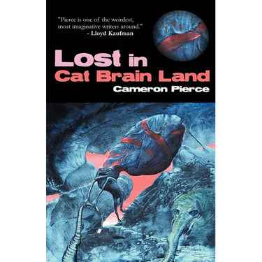 Lost in Cat Brain Land