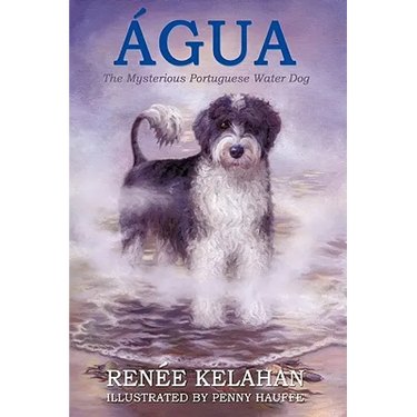 Agua, the Mysterious Portuguese Water Dog