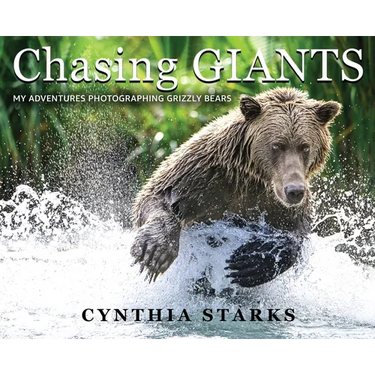 Chasing Giants: My Adventures Photographing Grizzly Bears - Volume One