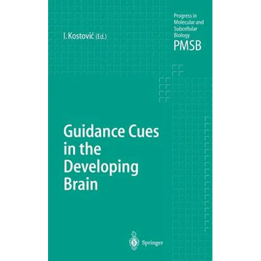 Guidance Cues in the Developing Brain