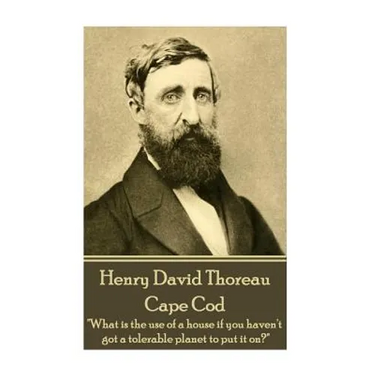 Henry David Thoreau - Cape Cod: "What is the use of a house if you haven't got a tolerable planet to put it on?"