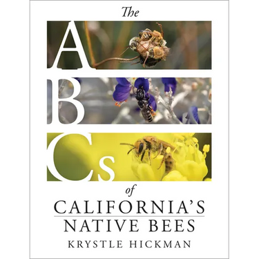 The ABCs of California's Native Bees