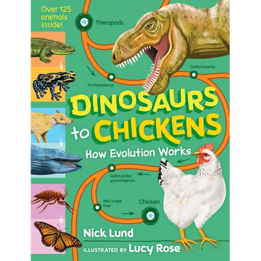 Dinosaurs to Chickens: How Evolution Works