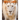 White Lion: Fun Facts Book for Kids with Amazing Photos