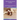 Welsh Springer Spaniel Activities Welsh Springer Spaniel Tricks, Games & Agility. Includes: Welsh Springer Spaniel Beginner to Advanced Tricks, Series