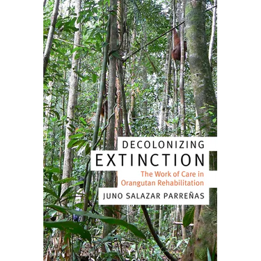 Decolonizing Extinction: The Work of Care in Orangutan Rehabilitation
