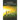 Things Unseen: Living in Light of Forever