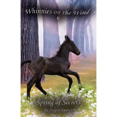Spring of Secrets: A Wilderness Horse Adventure