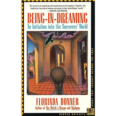 Being-In-Dreaming: An Initiation Into the Sorcerers' World