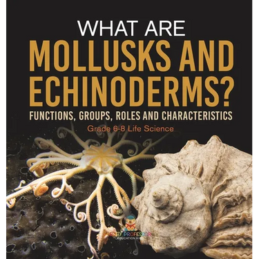 What are Mollusks and Echinoderms? Functions, Groups, Roles and Characteristics Grade 6-8 Life Science
