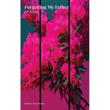 Forgetting My Father