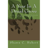 A Year In A Druid Grove: Celebrating the Seasonal Festivals on the Wheel of the Year