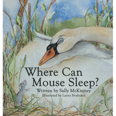 Where Can Mouse Sleep?