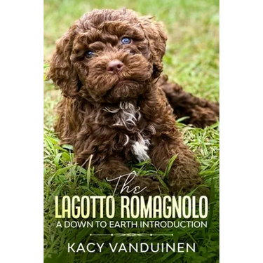 The Lagotto Romagnolo, A Down To Earth Introduction