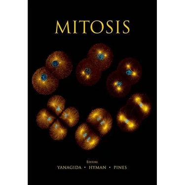 Mitosis