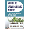 A Guide to Growing Herbs Indoors: Tips For Herb Gardens: How To Grow Herbs