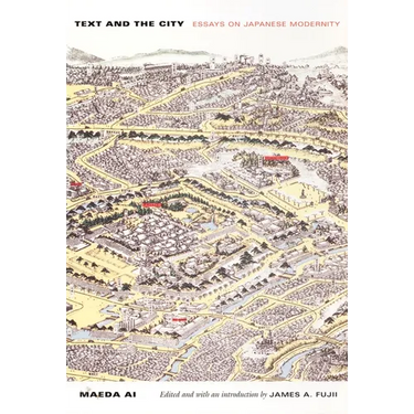 Text and the City: Essays on Japanese Modernity