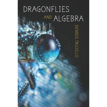 Dragonflies and Algebra