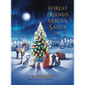 Forest Friends Rescue Santa
