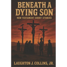 Beneath a Dying Son: New Testament Short Stories