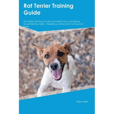Rat Terrier Training Guide Rat Terrier Training Includes: Rat Terrier Tricks, Socializing, Housetraining, Agility, Obedience, Behavioral Training, and