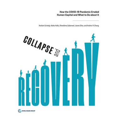 Collapse and Recovery: How the Covid-19 Pandemic Eroded Human Capital and What to Do about It