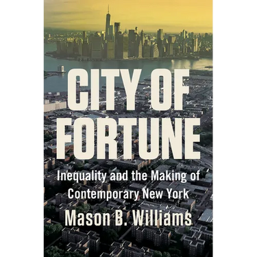 City of Fortune: Inequality and the Making of Contemporary New York