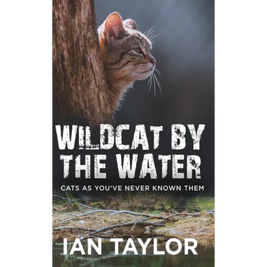 Wildcat By The Water: Cats As You've Never Known Them
