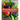 Backyard Bounty - Revised & Expanded 2nd Edition: The Complete Guide to Year-Round Gardening in the Pacific Northwest