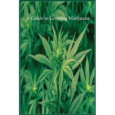 A Guide to Growing Marijuana