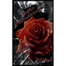 A Deaf Rose Climbs from a Broken World