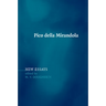 Pico Della Mirandola: New Essays