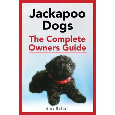 Jackapoo Dogs: The Complete Owner's Guide