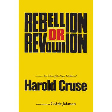 Rebellion or Revolution?