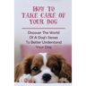 How To Take Care Of Your Dog: Discover The World Of A Dog's Senses To Better Understand Your Dog: How To Understand Dog'S Emotion
